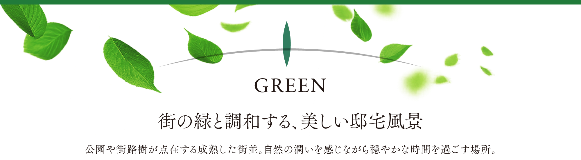 GREEN｜街の緑と調和する、美しい邸宅風景