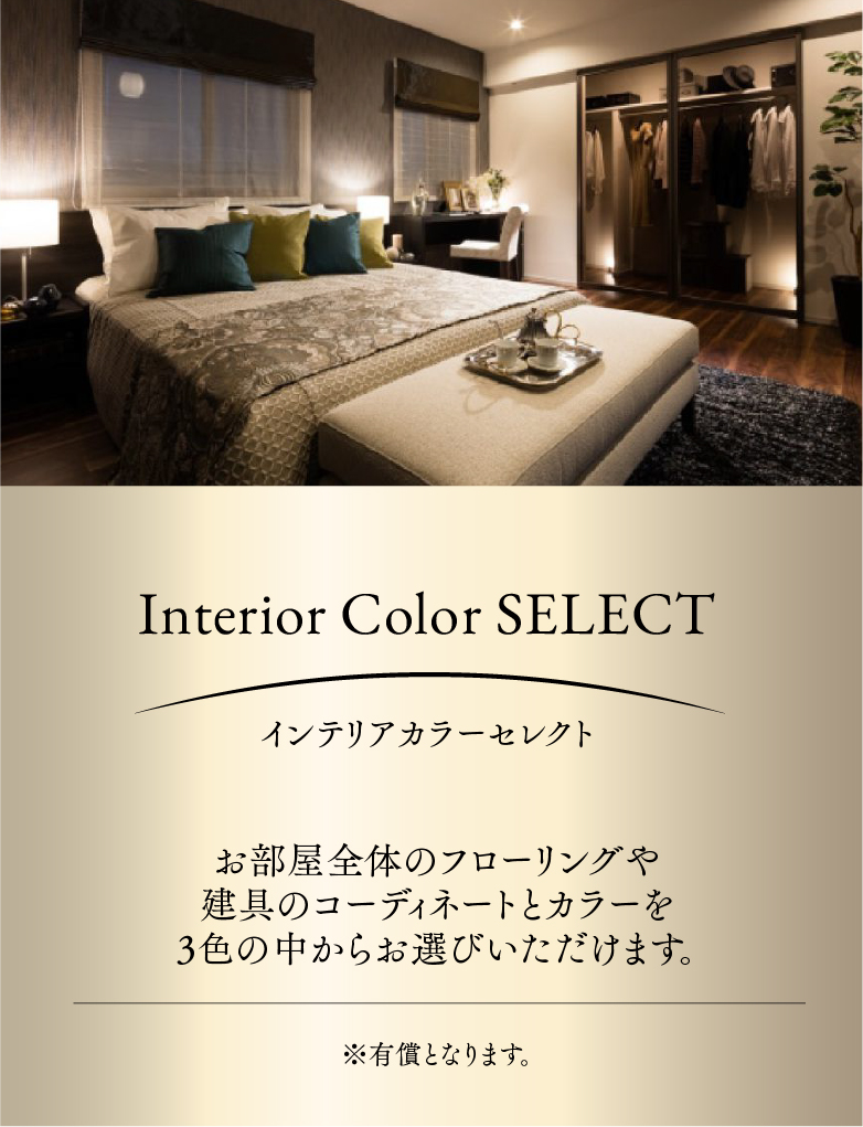 Interior Color SELECT