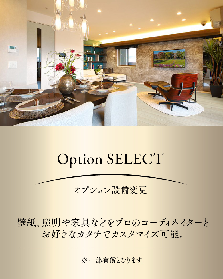 Option SELECT