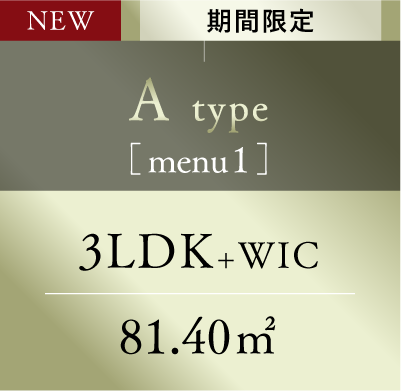 Atype_menu1
