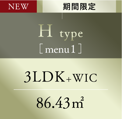 Htype_menu1